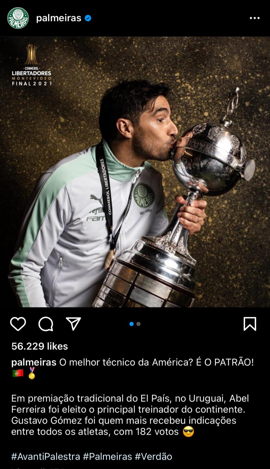 El mensaje de Palmeiras para si DT Rey de América. Captura