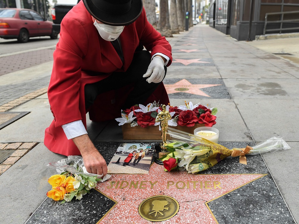 Una persona deja flores en la estrella de Sidney Poitier en el Paseo de la Fama de Hollywood. Foto: AFP