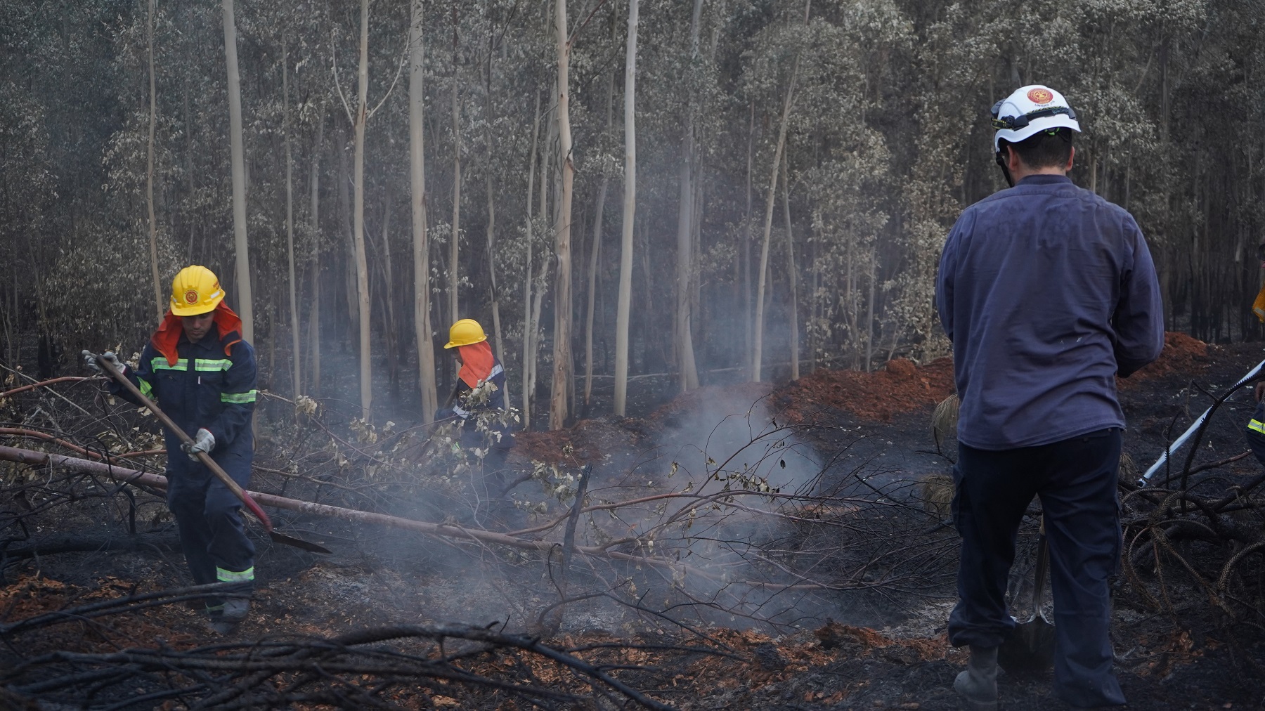 Incendio. Foto: Mateo Vázquez.
