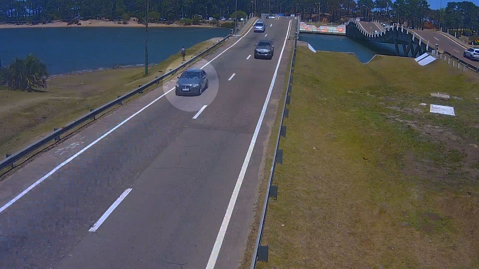 Seguimiento por videovigilancia permitió atrapas a dos ladrones que robaron en Maldonado. Foto: Ministerio del Interior