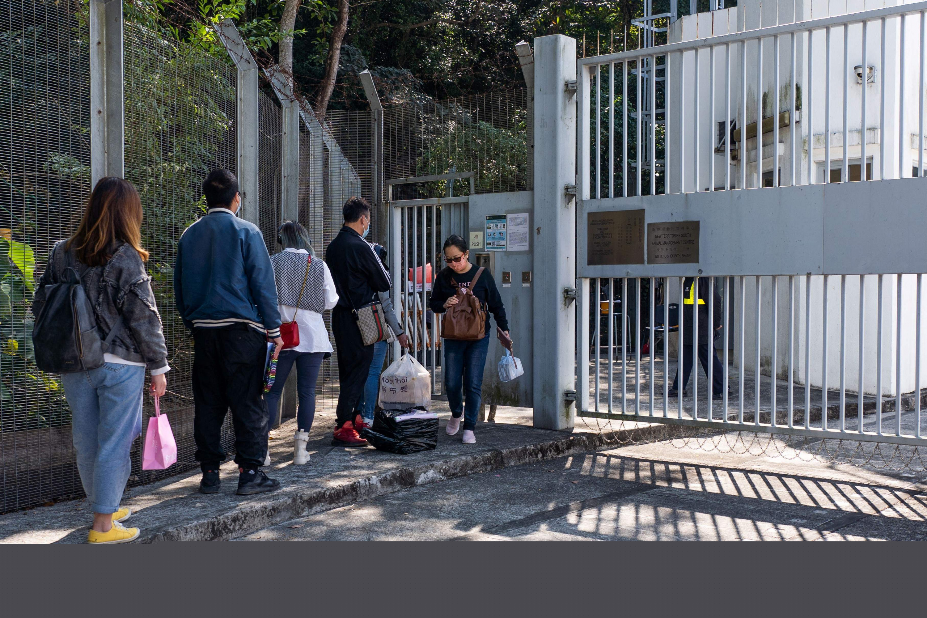 La gente hace cola para dejar a sus hámsteres en el Centro de Manejo de Animales en Hong Kong. Foto: AFP.
