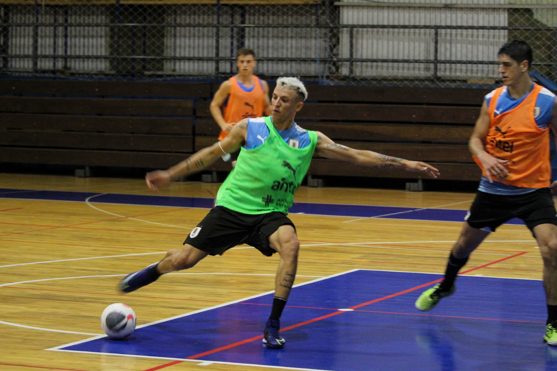 Copa América de Futsal: otra Celeste que se la juega en Paraguay. Fotos: Matías Pérez
