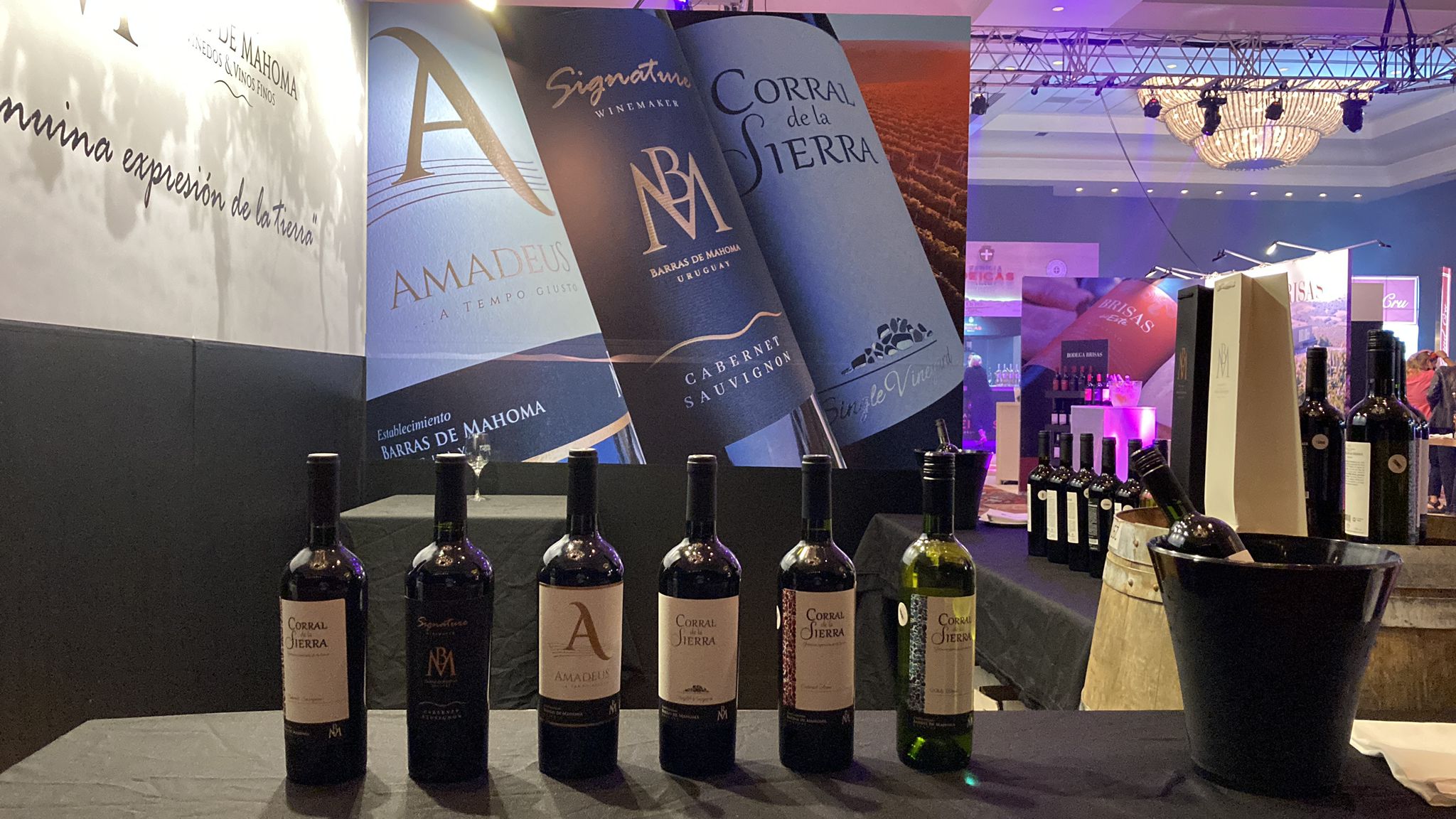 Cabernet Sauvignon Signature 2021.