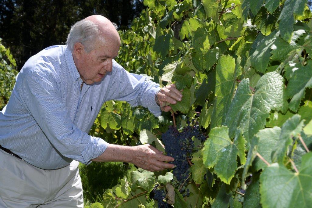 Javier Carrau en Bodegas Carrau. Foto: Leonardo Mainé.