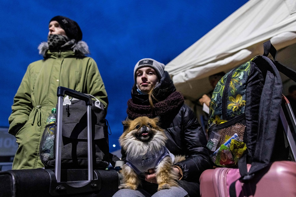 Refugiados ucranianos llegan desde el paso fronterizo peatonal de Medyka, en Przemsyl, este de Polonia. Foto: AFP.