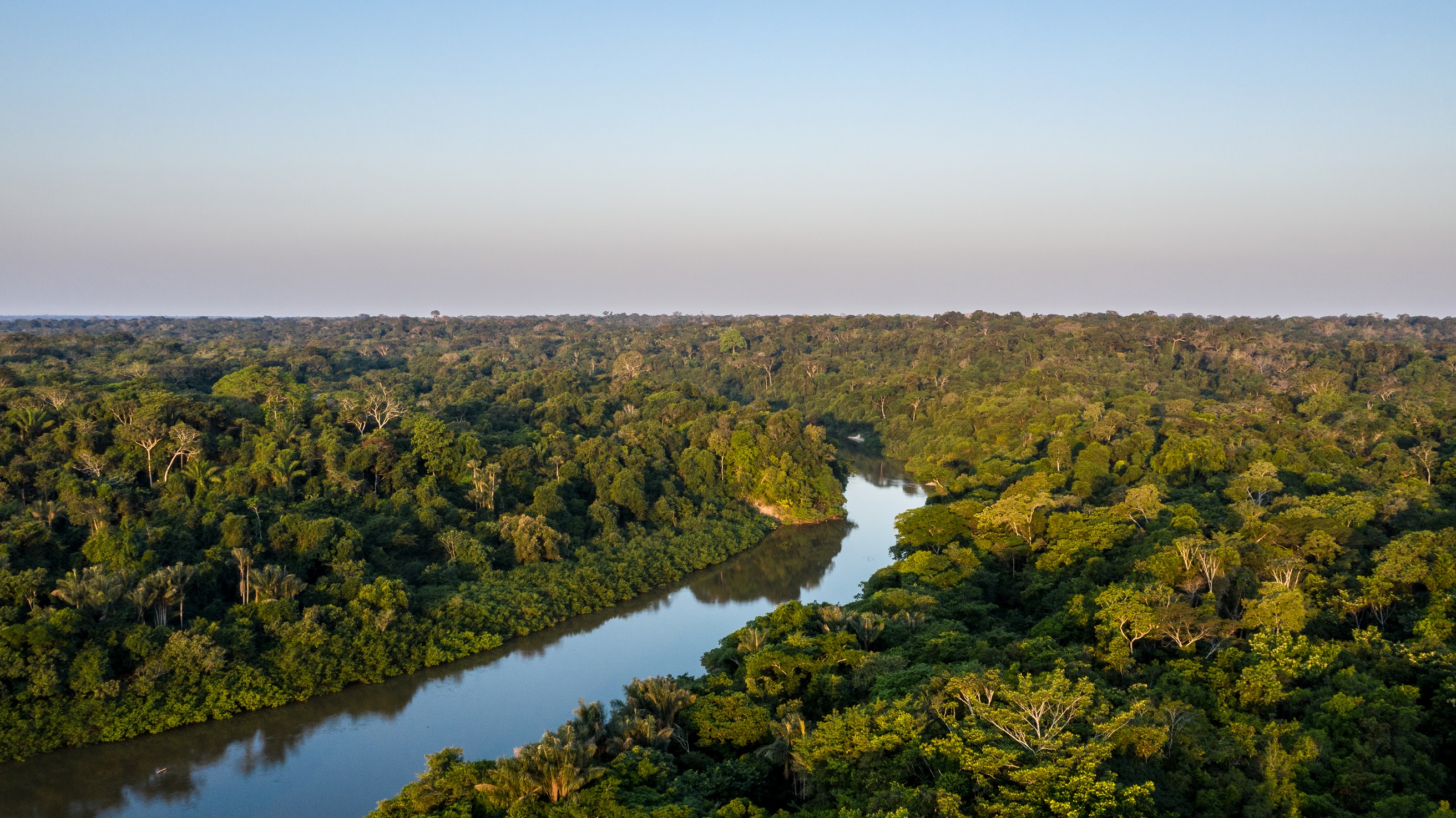 Bonos de Carbono Moss.earth