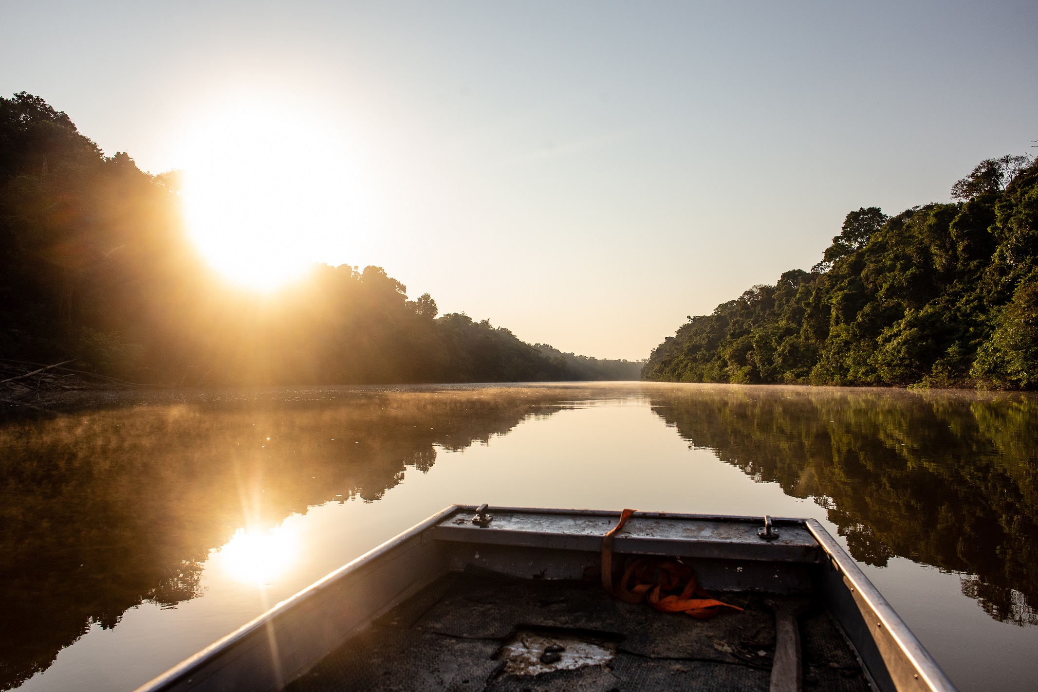 Bonos de Carbono Moss.earth