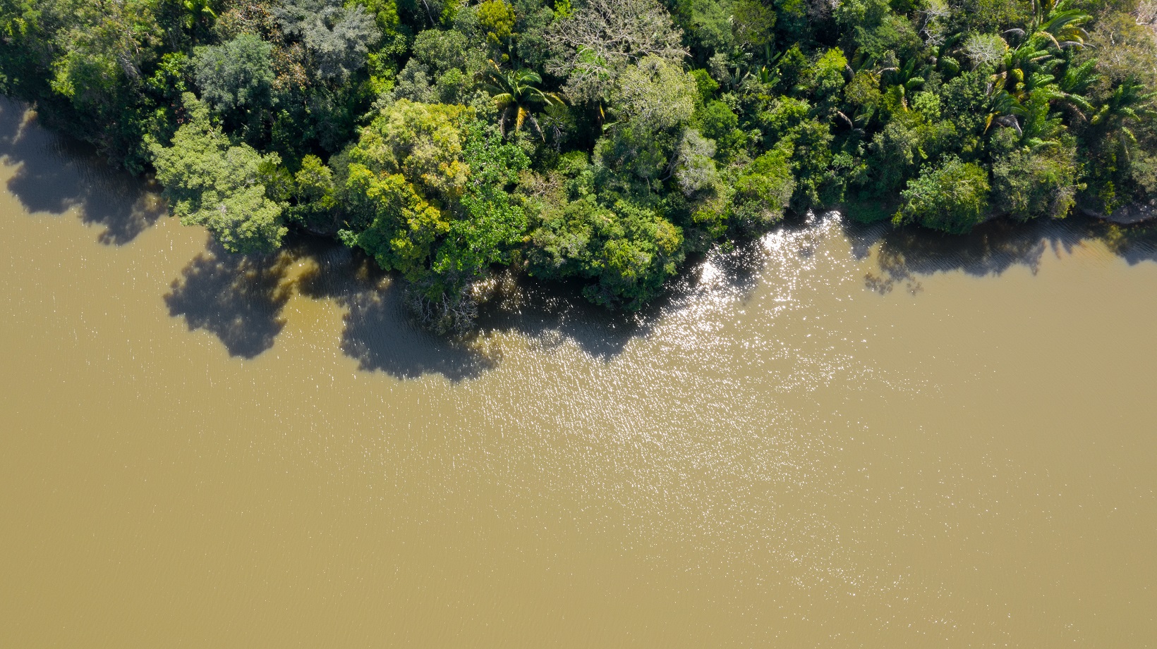 Bonos de Carbono Moss.earth