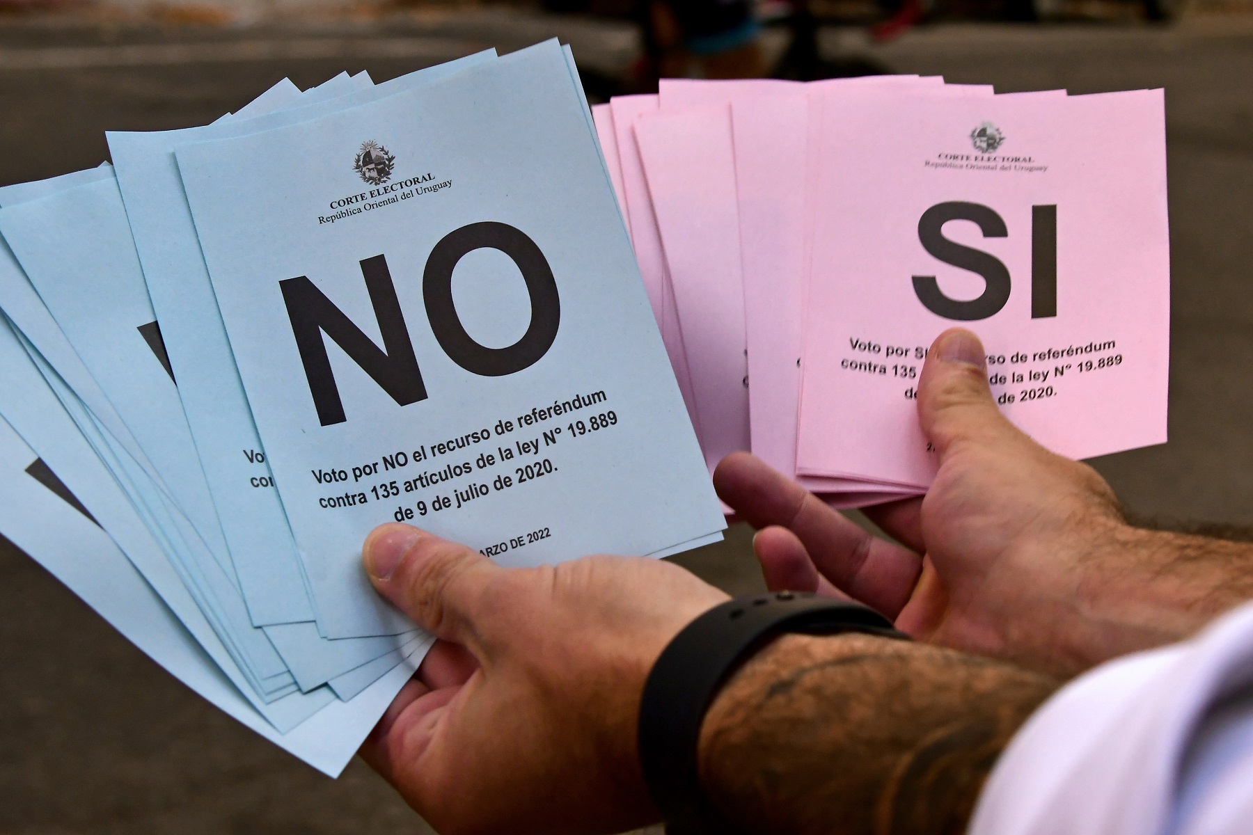 Papeletas del Si y el No. Foto: Estefanía Leal.