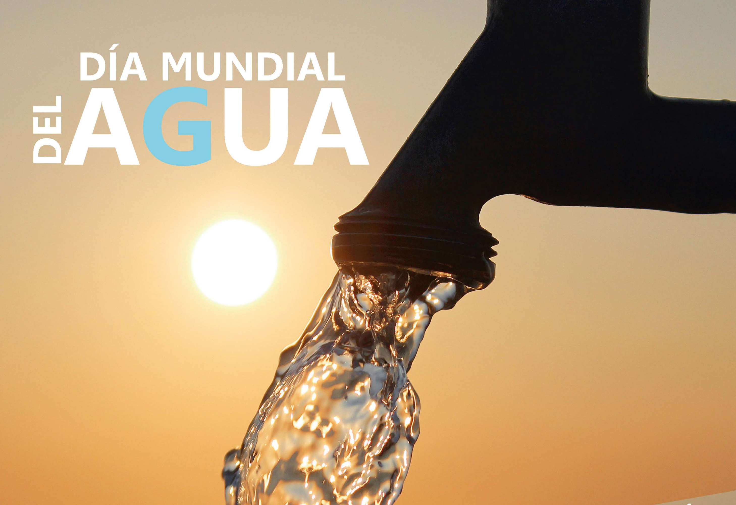 Tapa Suplemento Día del Agua