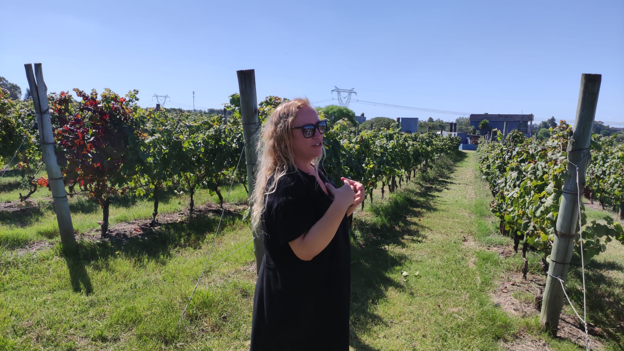 Analía es una de las socias fundadoras de Artesana. Foto: Rosana Decima