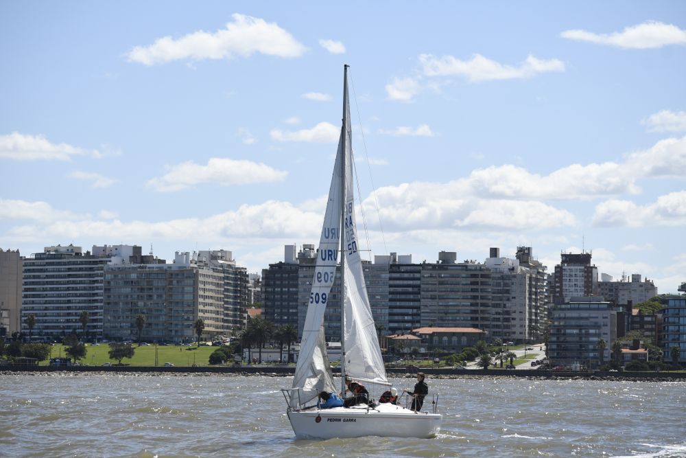 Primera edición de la reg