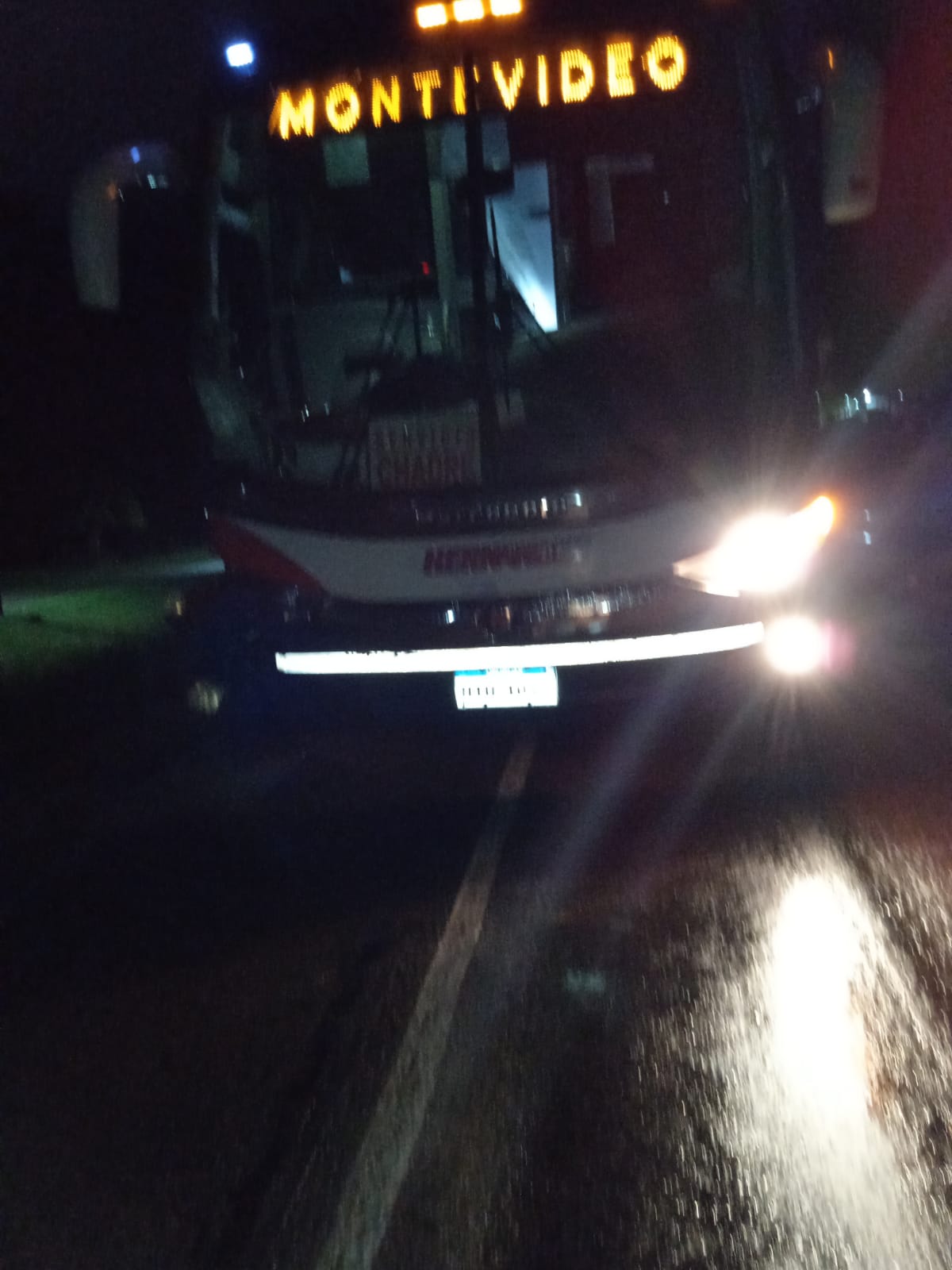 Ómnibus accidentado. Foto: Policía Caminera