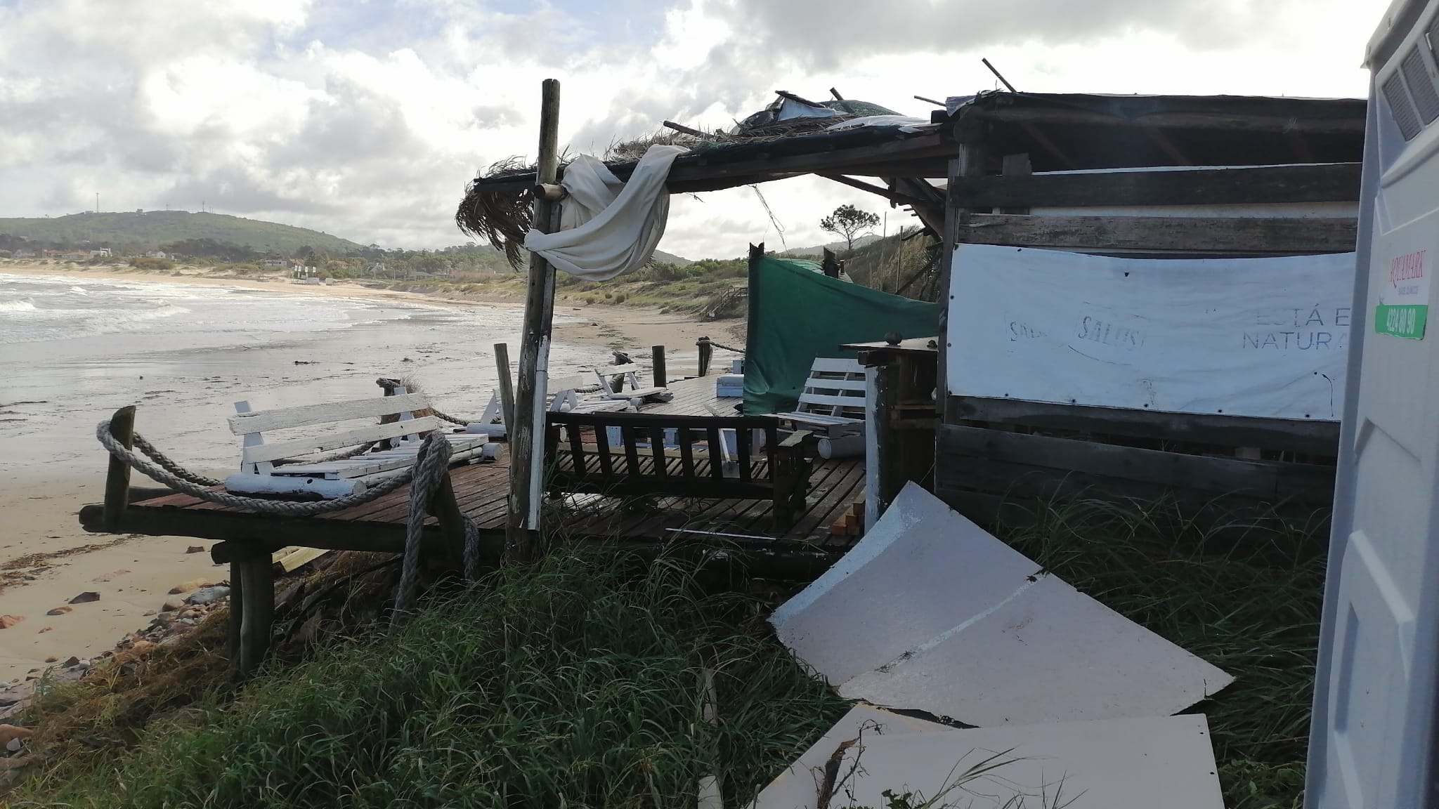 Rescate Fauna Marina. Foto: Ricardo Figueredo