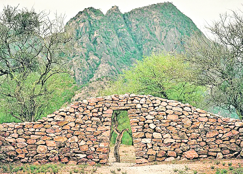 El Schincal. Foto: GDA/LANACION