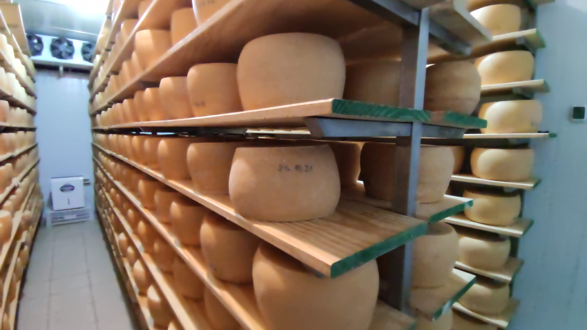 Granja La Cumbre. Foto: Rosana Decima