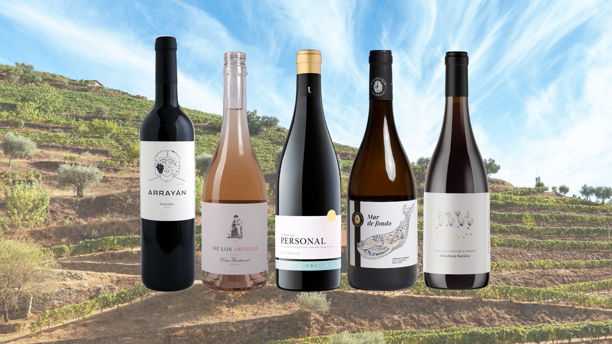 vinos radicales apunte de cata
