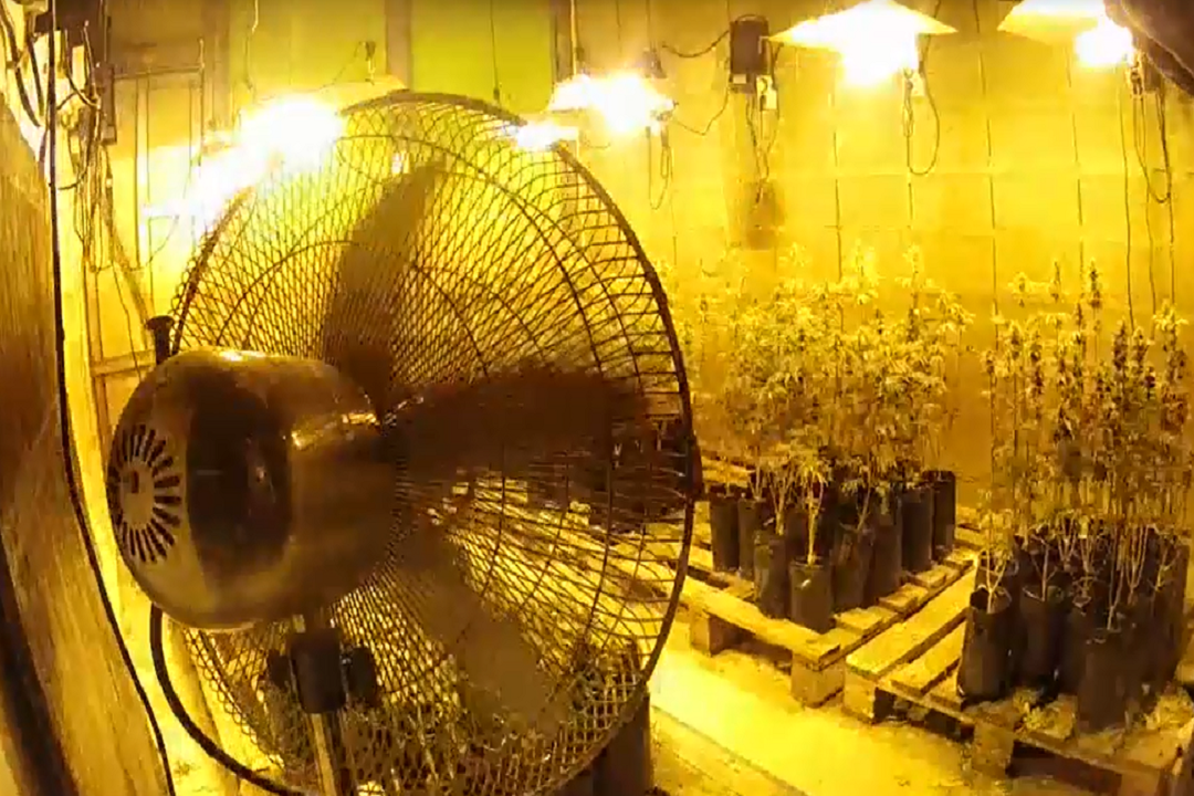 Operativo Basora. Foto: Ministerio del Interior