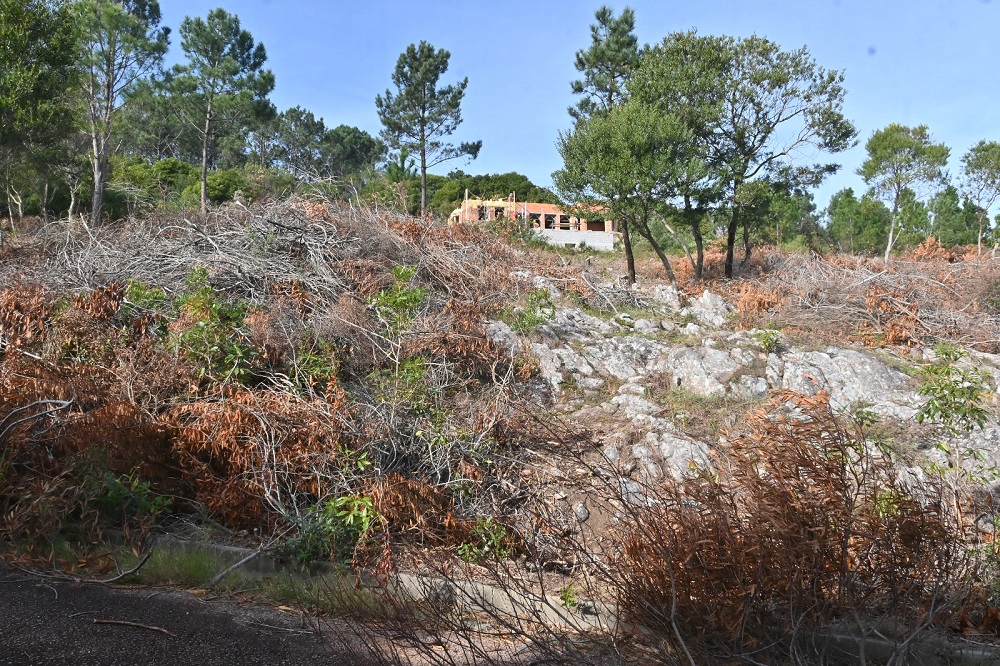 La casa en construcción de Nataia Oreiro en Las Cumbres, Punta Ballena. Foto: Ricardo Figueredo