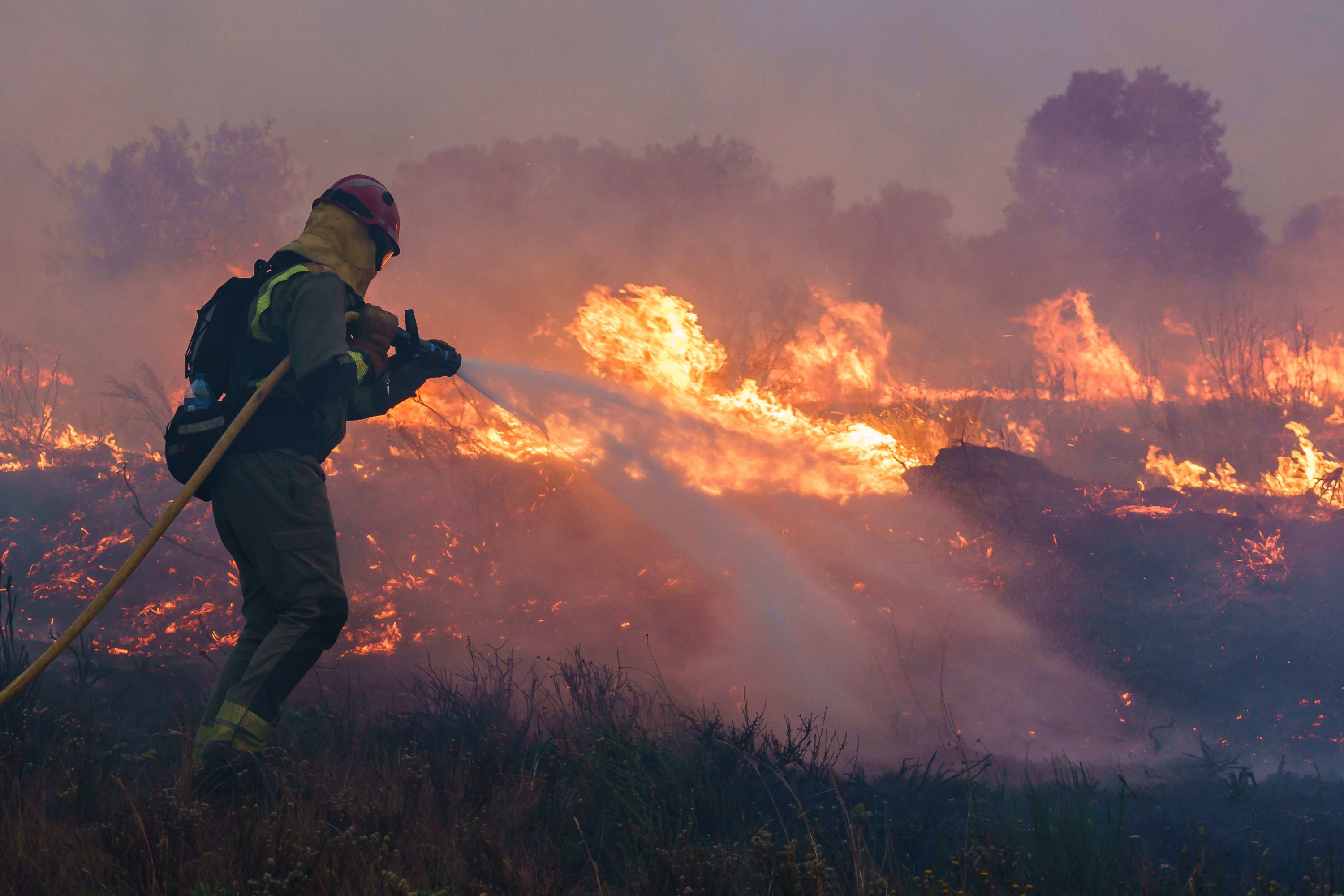Un bombero en un incendio forestal en Pumarejo de Tera, cerca de Zamora, en el norte de España. Foto: AFP.