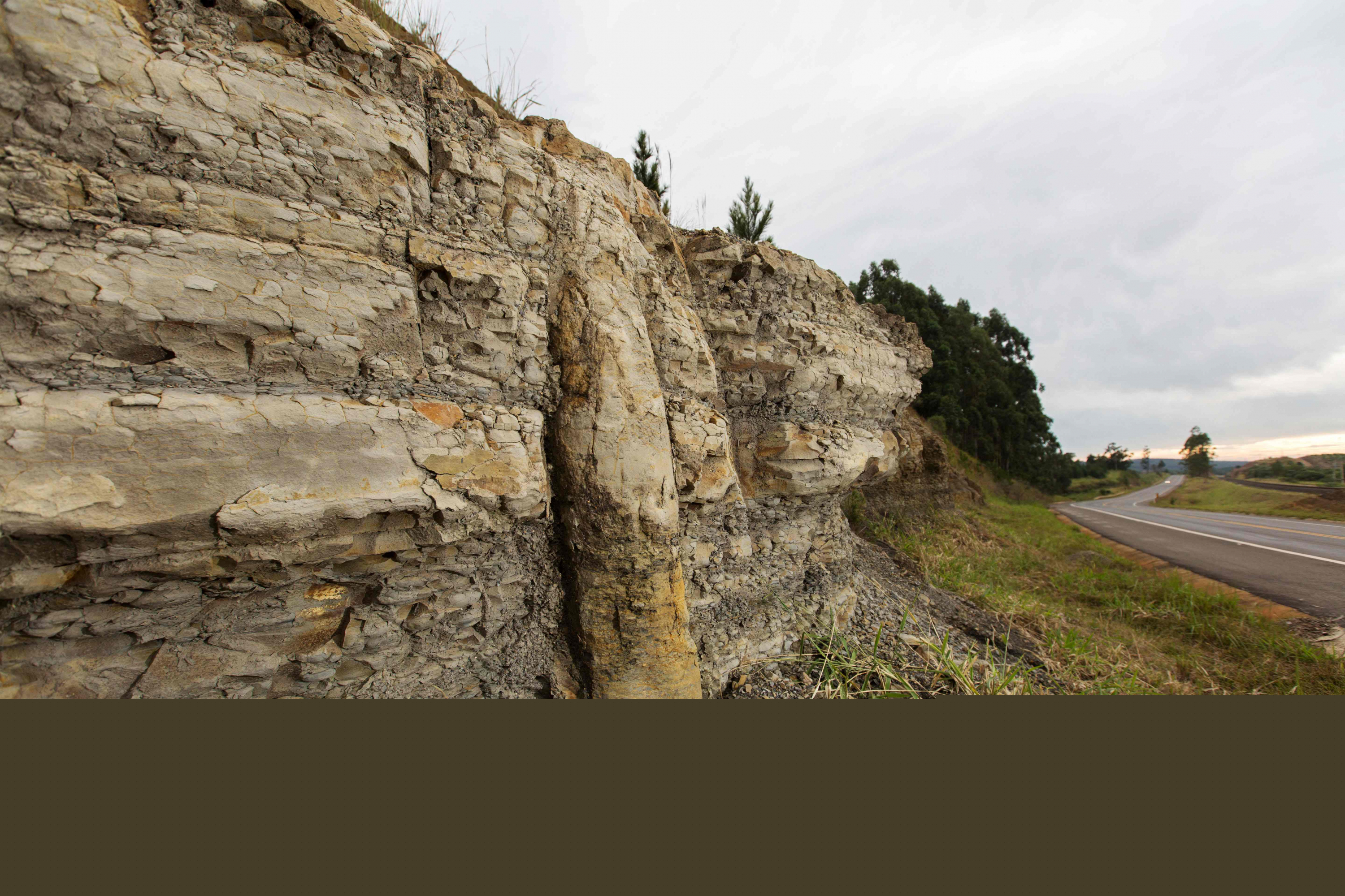Paisaje del bosque fosilizado. Foto: AFP