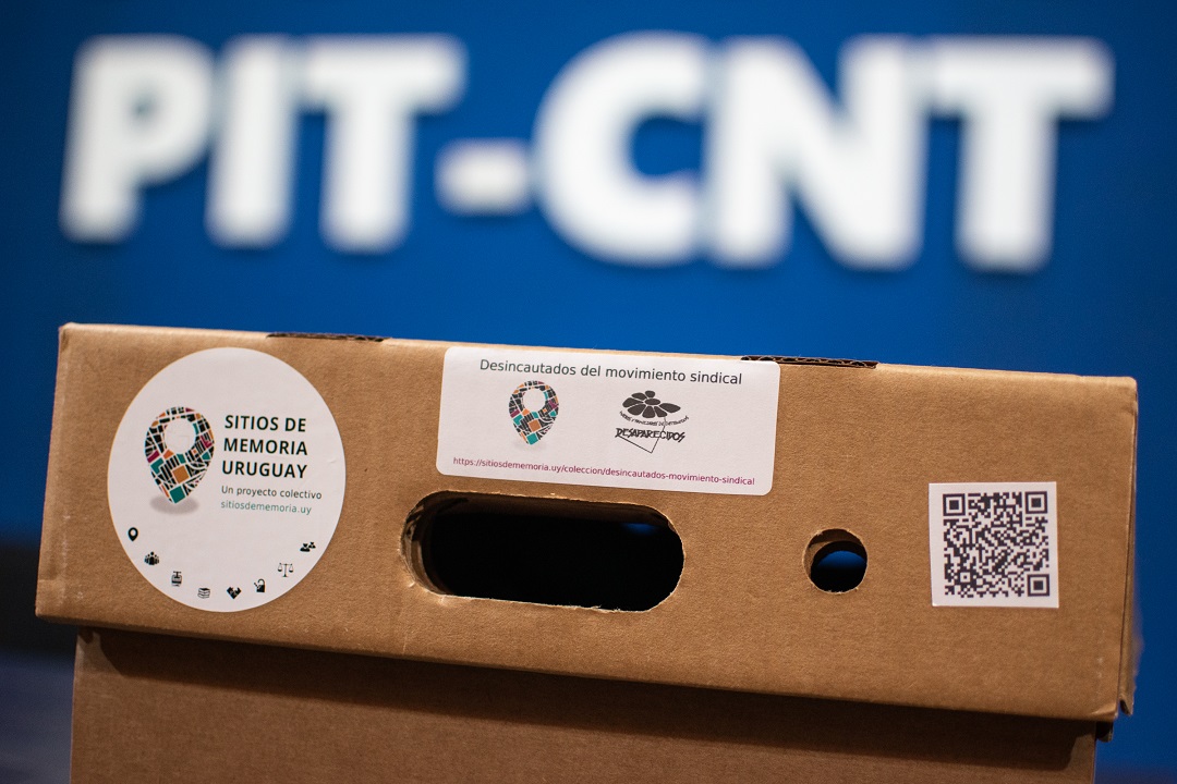 Materiales desincautados. Foto: @PITCNT1