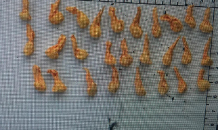 Pasta base incautada en Ciudad de Canelones. Foto: Jefatura de Policía de Canelones