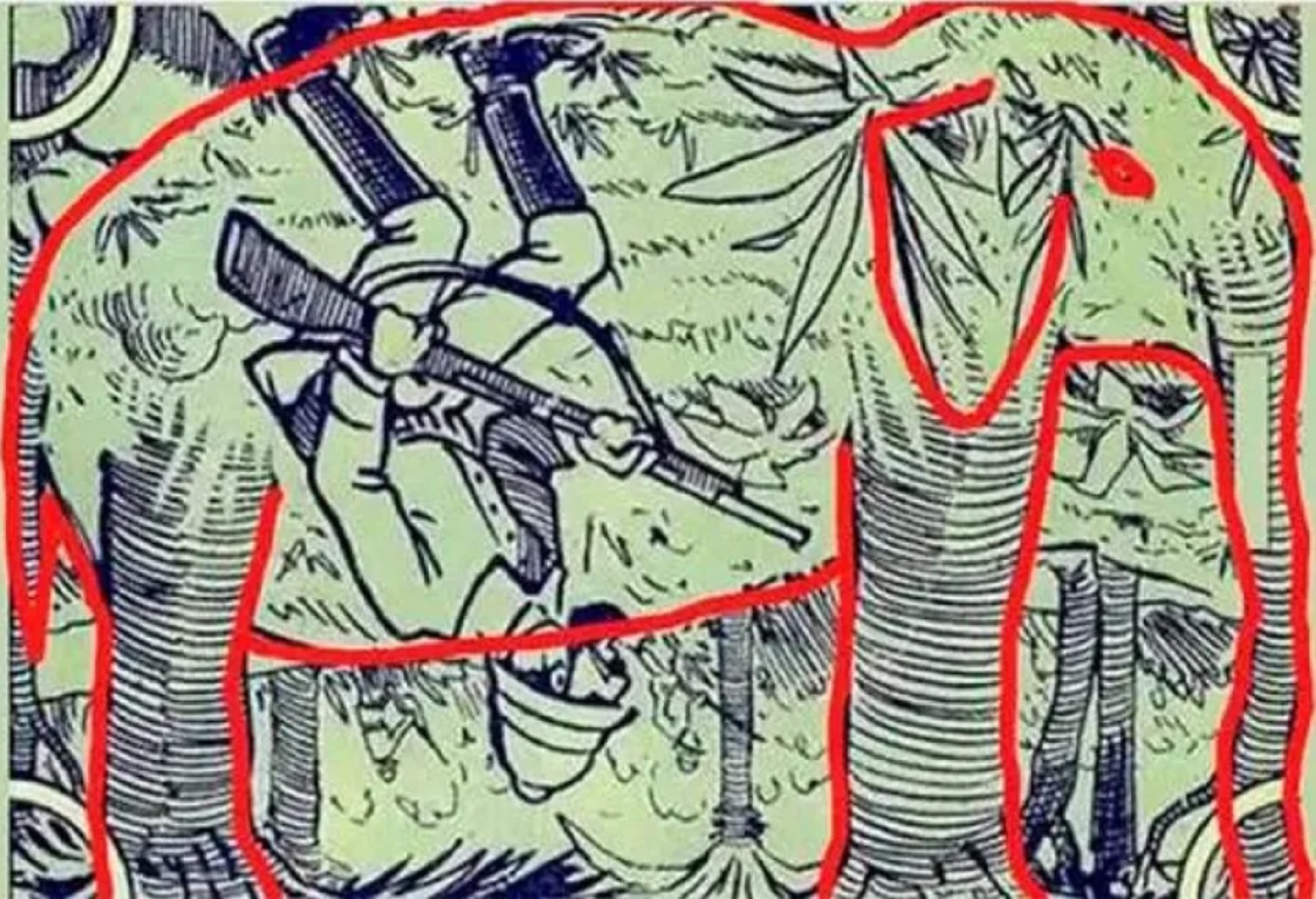 El desafío visual del elefante se resuelve dando vuelta la imagen. Foto: TIkTok