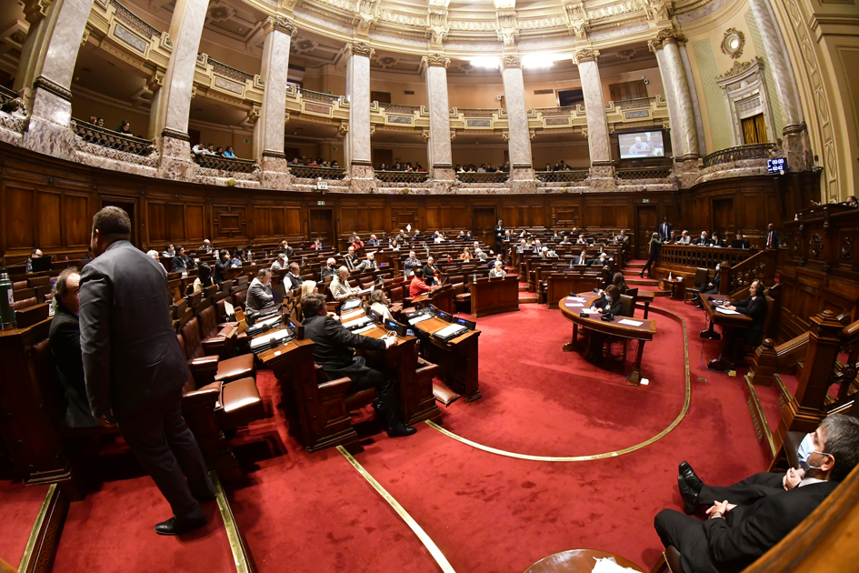 Cámara de Diputados. Foto: Estefanía Leal