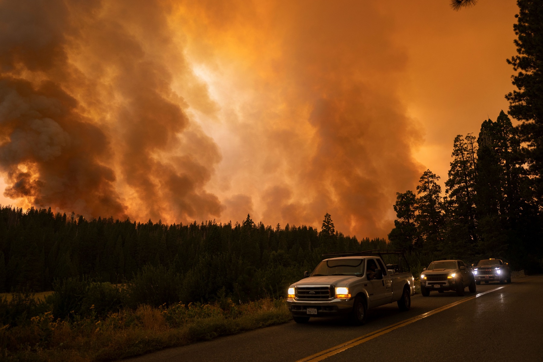 Incendio forestal en California. Foto: AFP.