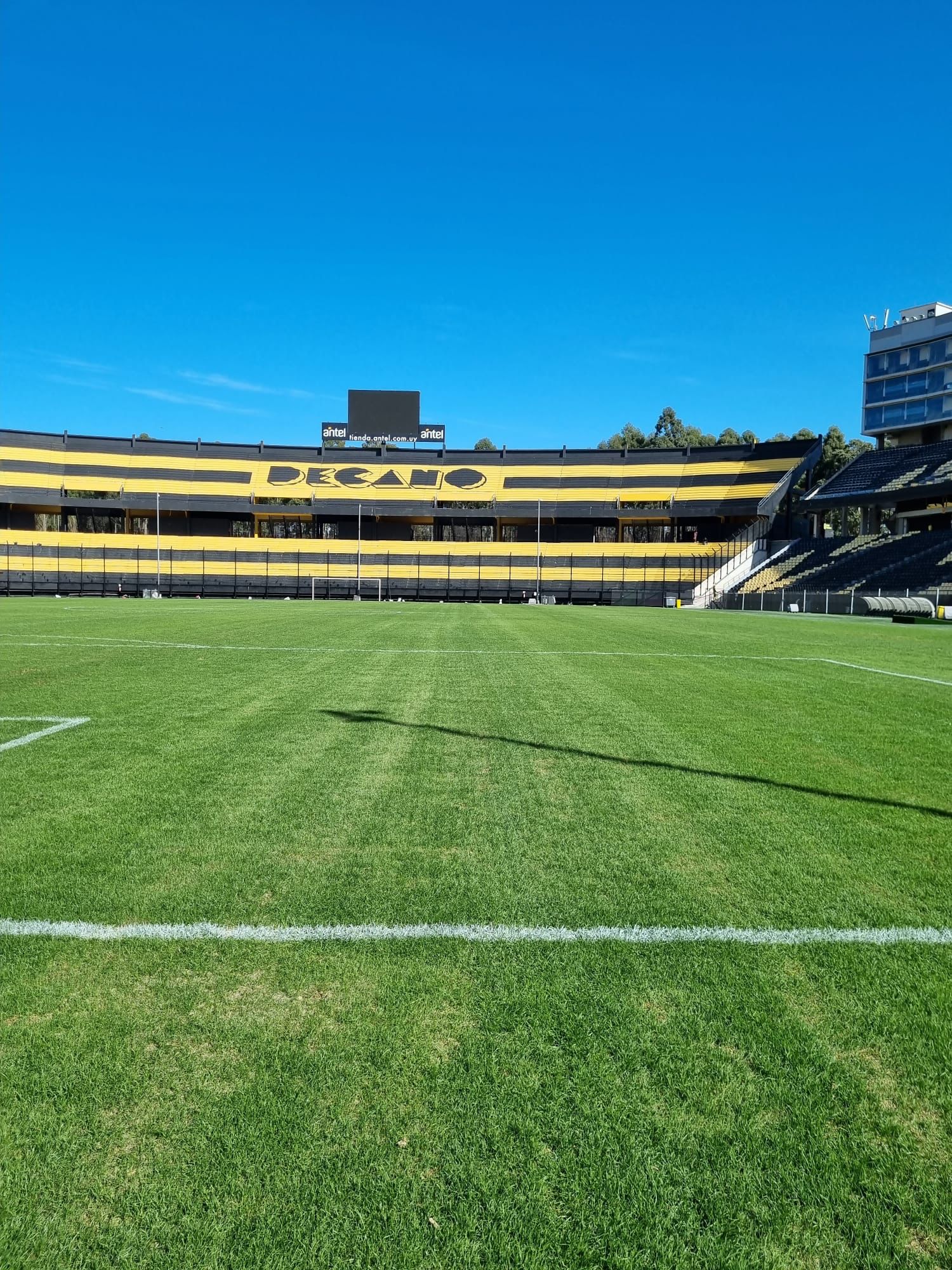 El estado actual del Campeón del Siglo