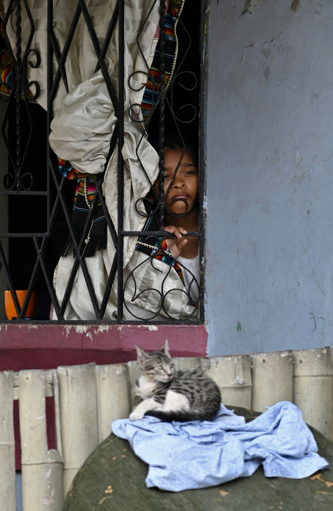 Una mujer mira desde una ventana como la Policía de Ecuador inspecciona una explosión, que el gobierno atribuye al crimen organizado, en el sur de Guayaquil. Foto: AFP.