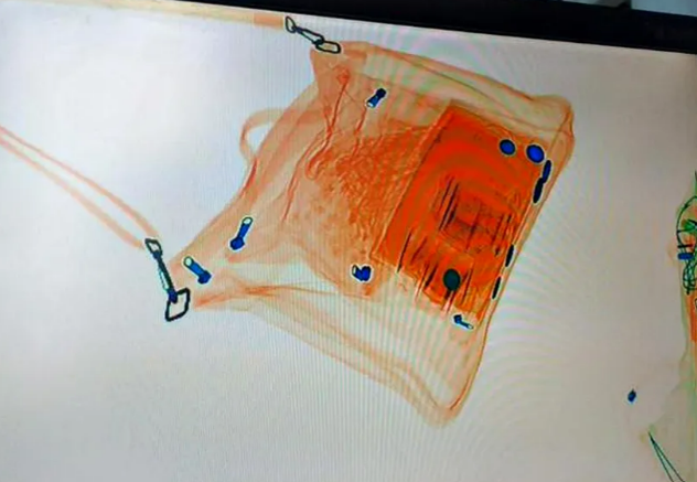 Dinero incautado en Buenos Aires que viajaba a Colonia. Foto: GDA/LANACION