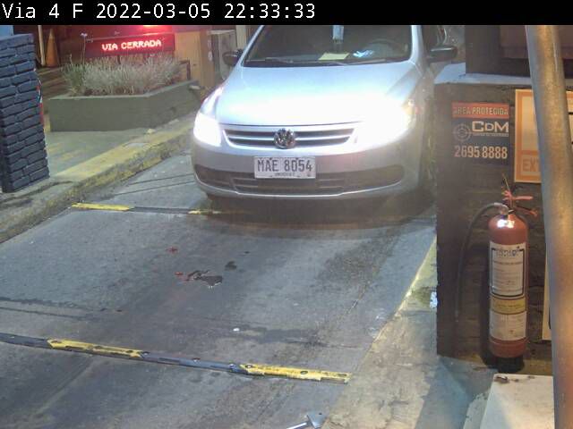 Matrícula clonada. Foto: Sucive