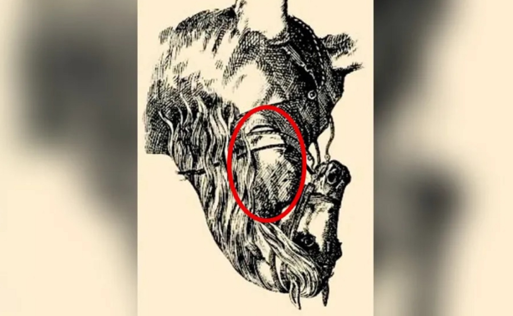 El jinete escondido dentro del dibujo del caballo. Foto: La Nación (GDA)