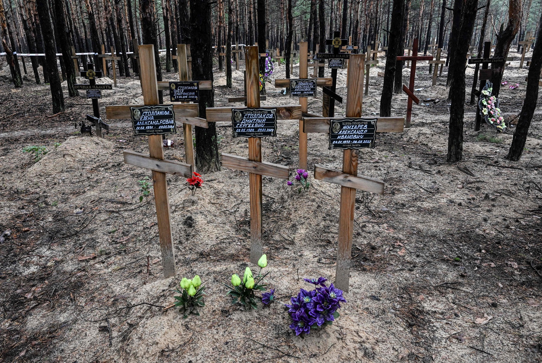 Bosque con cruces en las tumbas encontradas Foto: AFP.