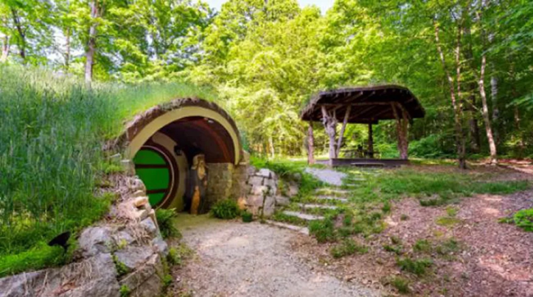 Está en el bosque en McEwen, Tennessee, Estados Unidos. Foto: Airbnb