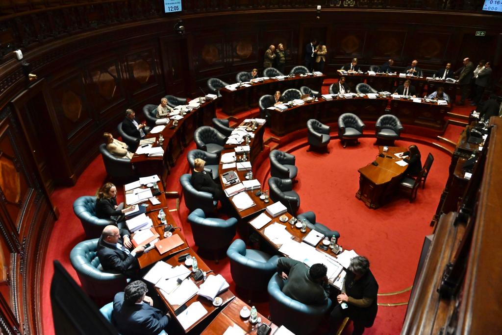 Cámara de Senadores en tratamiento de la Rendición de Cuentas. Foto: Leonardo Mainé