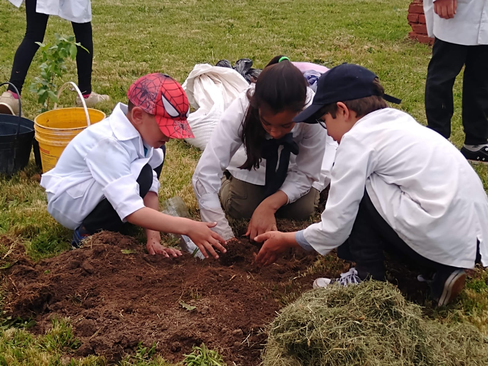 Estamos Plantando