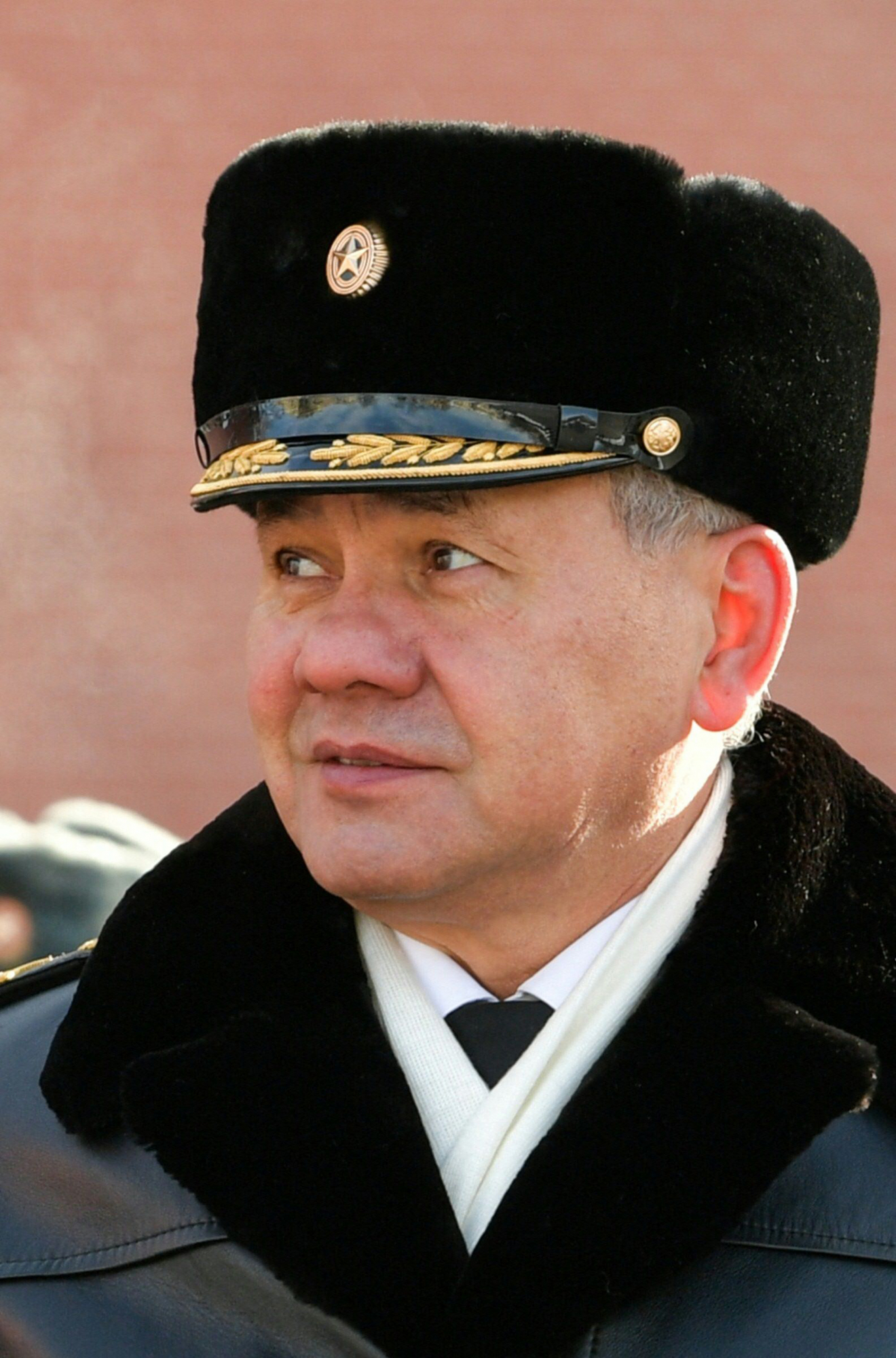 Ministro de Defensa ruso Sergei Shoigu. Foto: AFP.