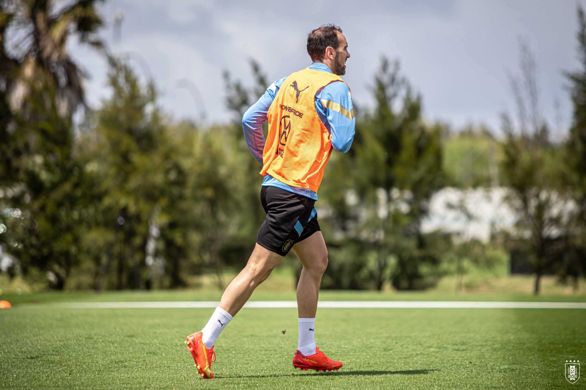 Diego Godín entrena en el Complejo Celeste. Foto: @Uruguay.