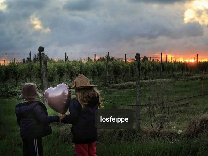 los feippe mujer migrante