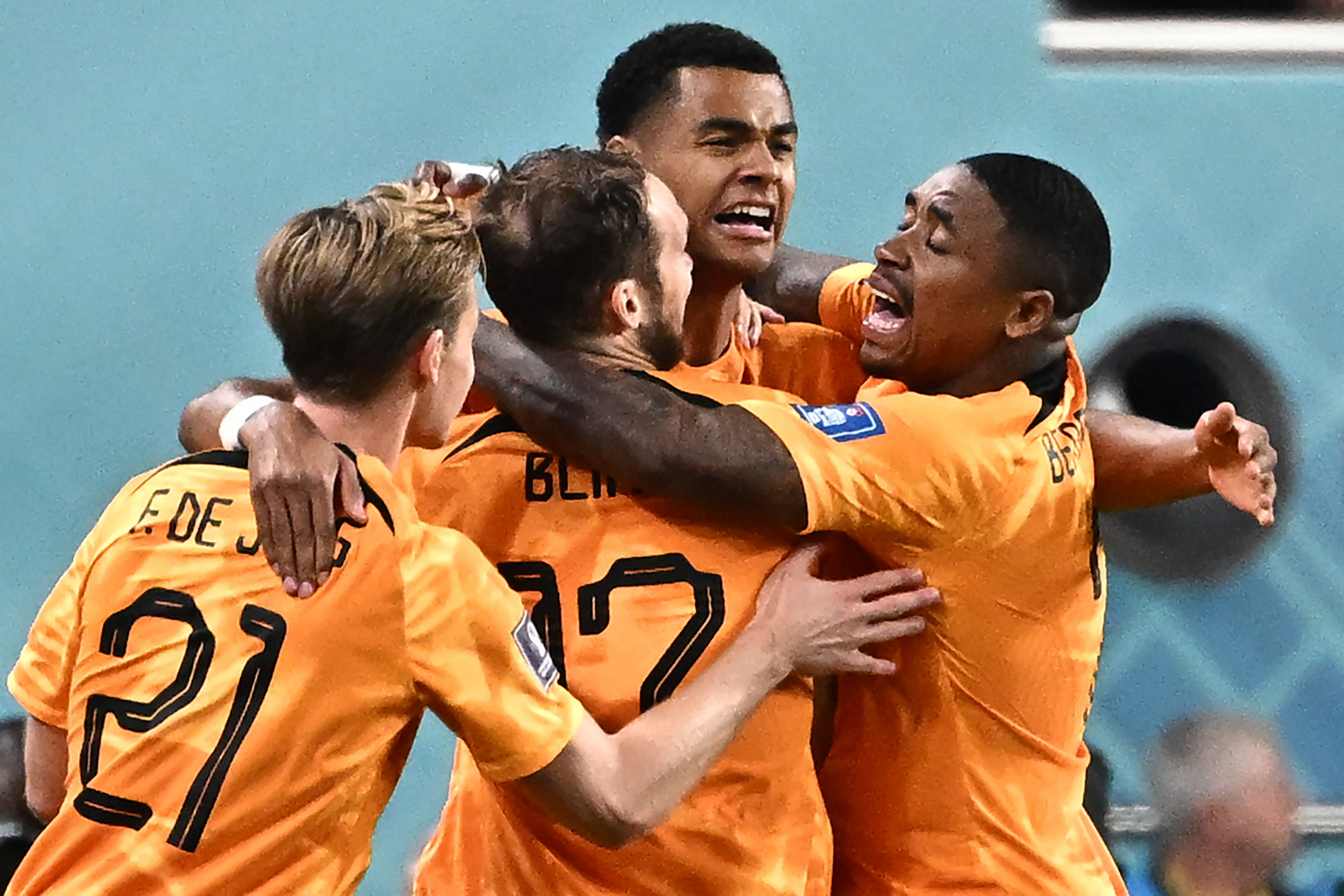 Cody Gakpo y el equipo de Países Bajos celebran el primer gol ante Ecuador. Foto: AFP