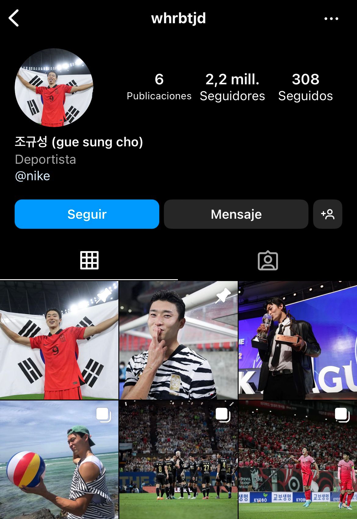 Perfil de Instagram de Cho Gue Sung